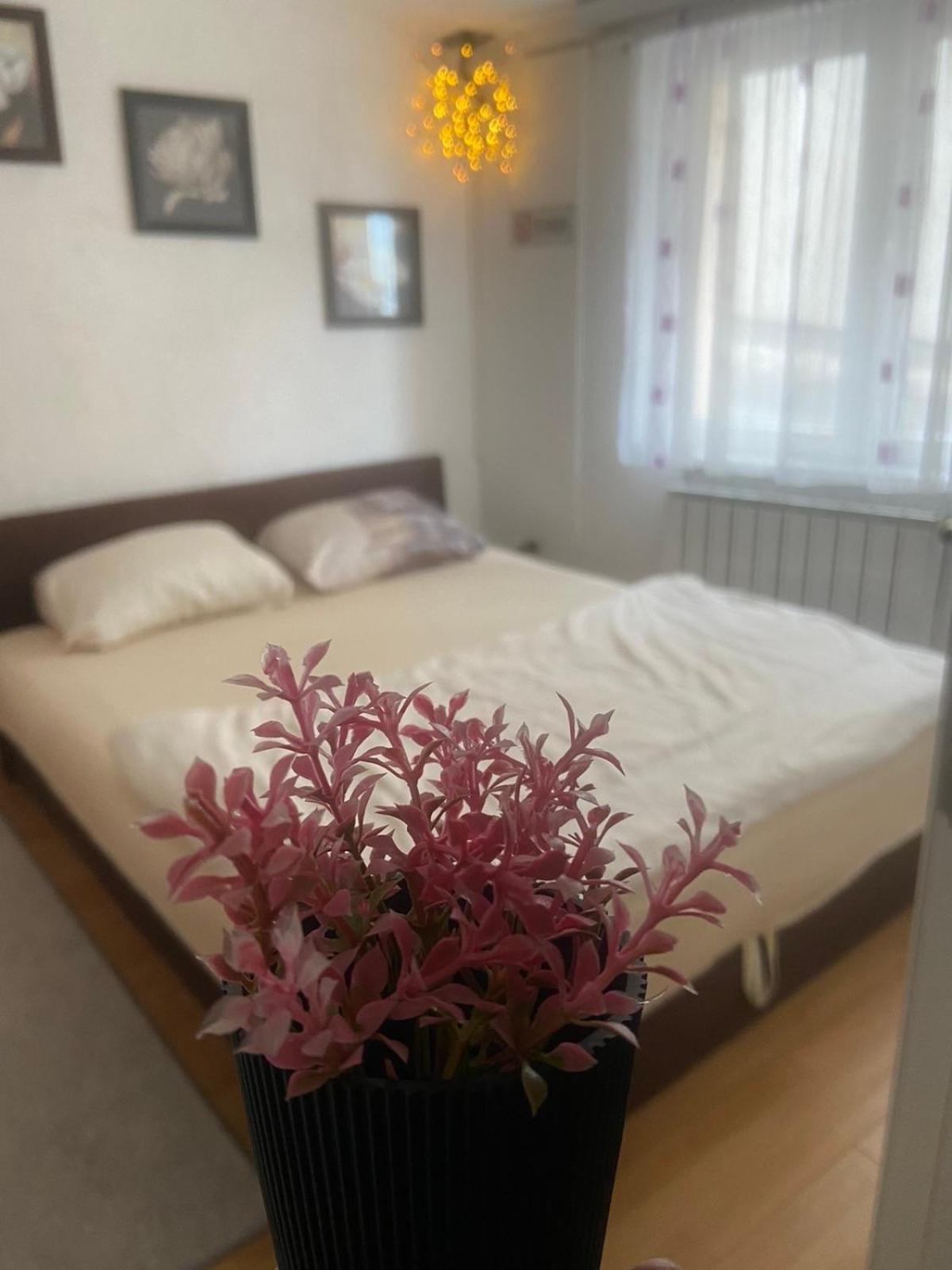 Casaletto Sarajevo公寓 外观 照片